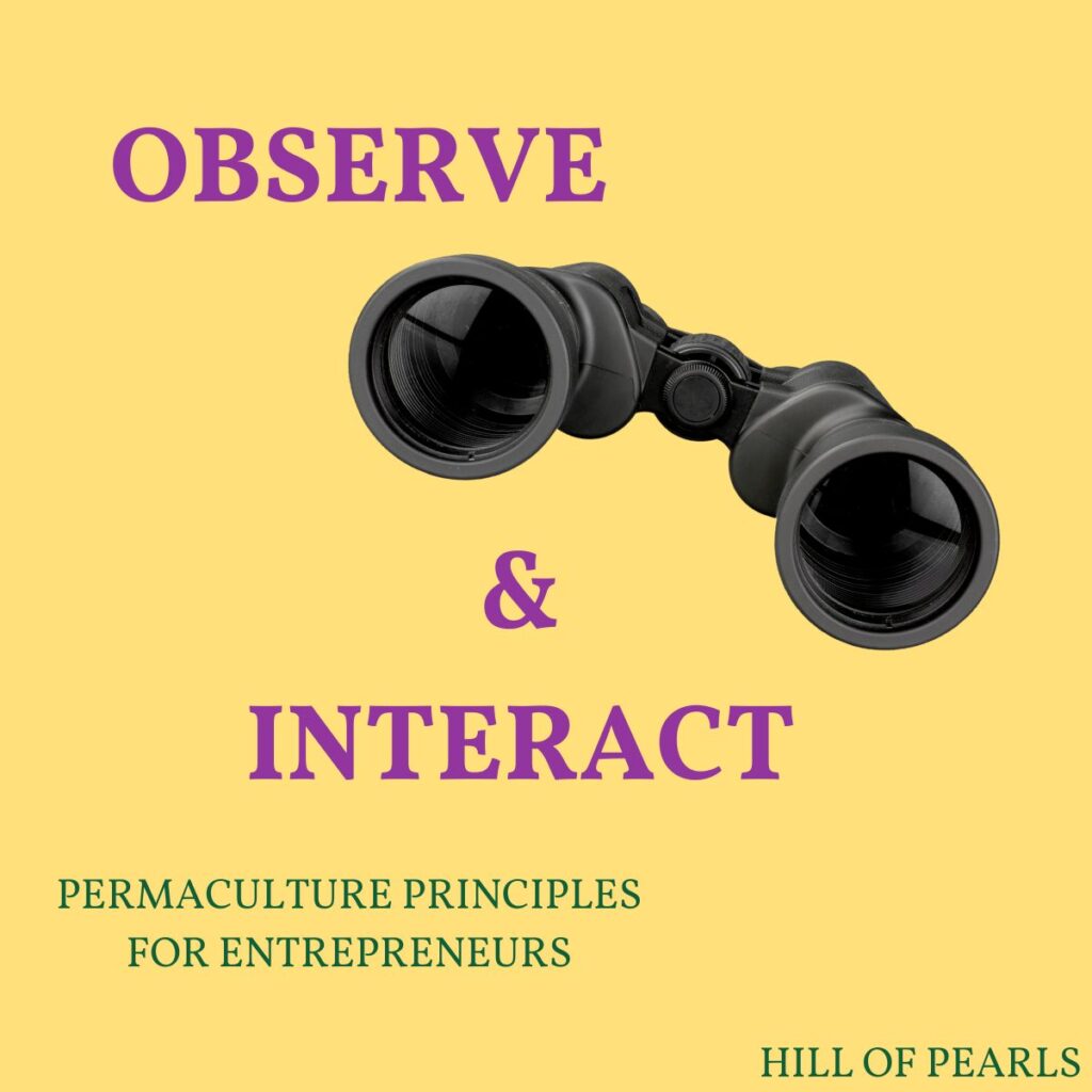 Permaculture principle: Observe and interact